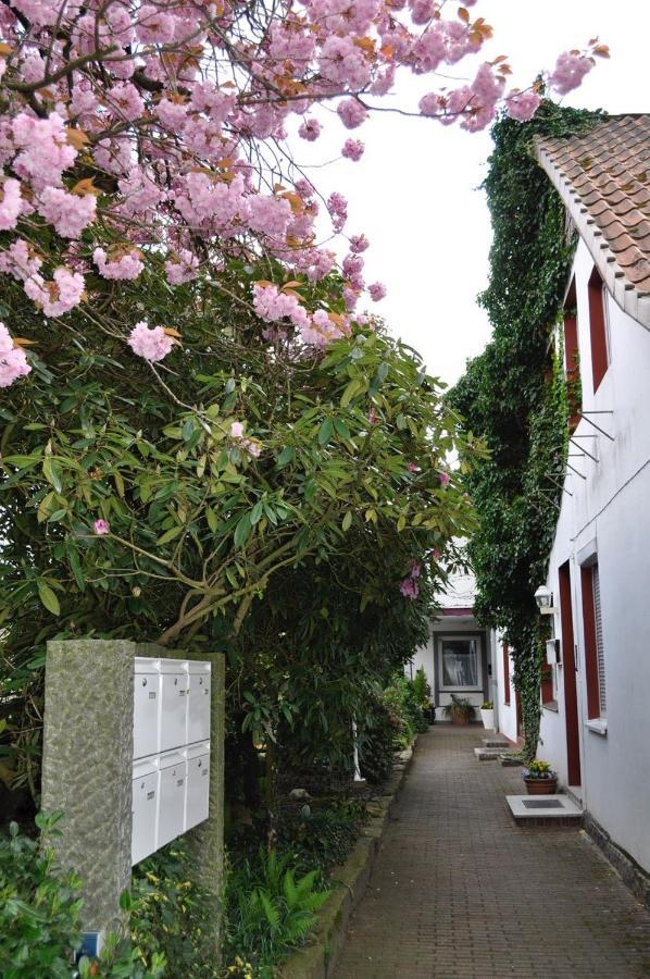 Ferienwohnung Suedpark Schneverdingen Dış mekan fotoğraf