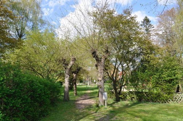 Ferienwohnung Suedpark Schneverdingen Dış mekan fotoğraf